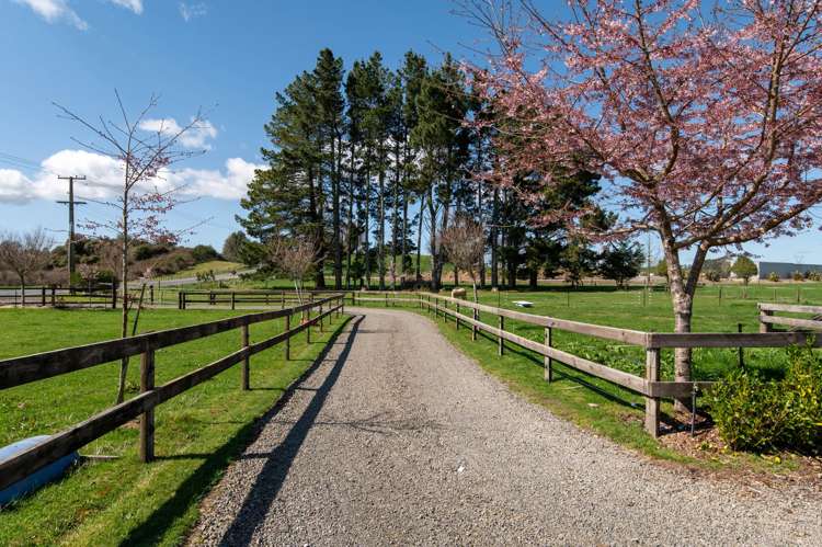 196 Ash Pit Road Rerewhakaaitu_21