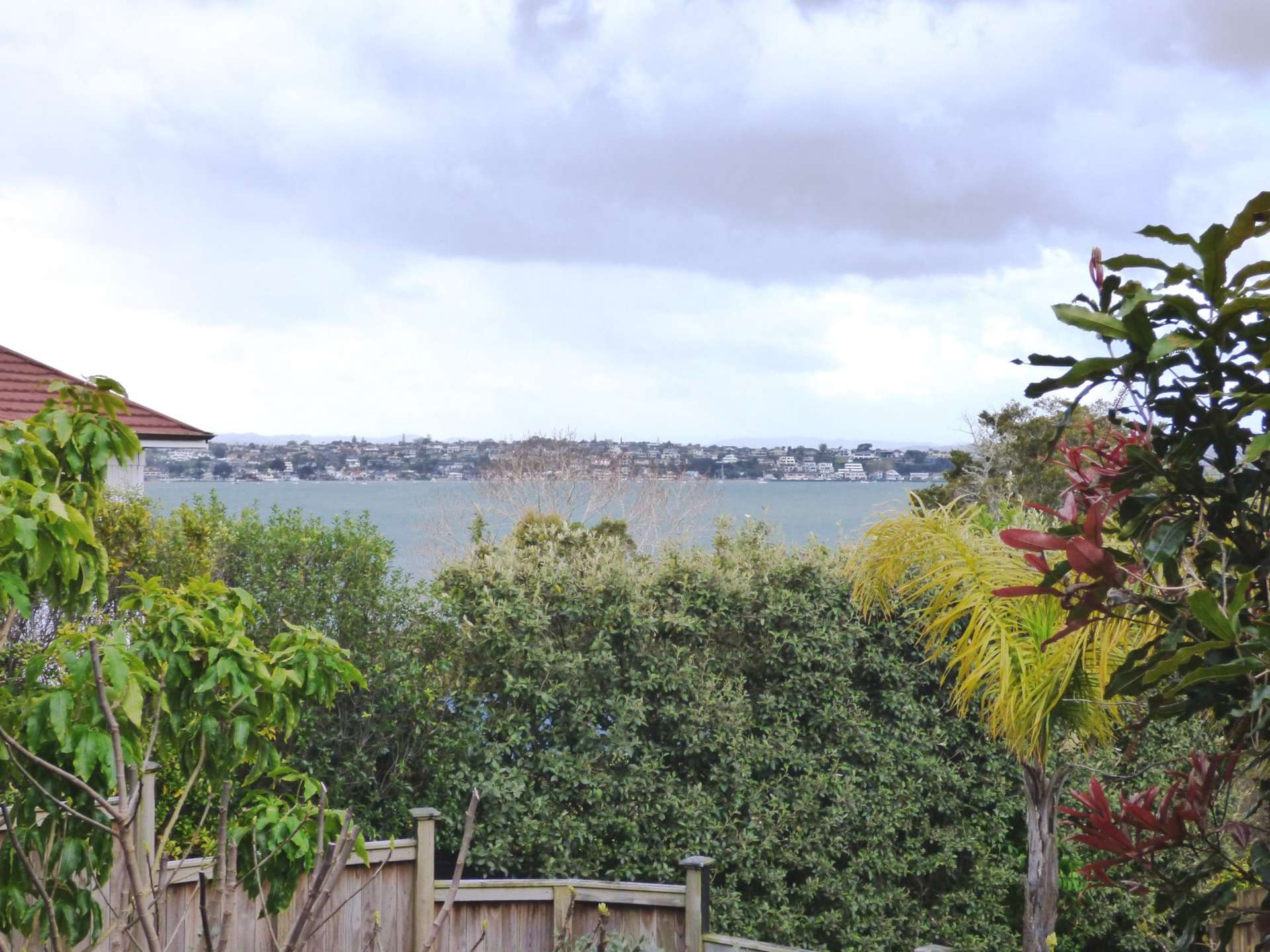 34 Vanessa Crescent Glendowie_0