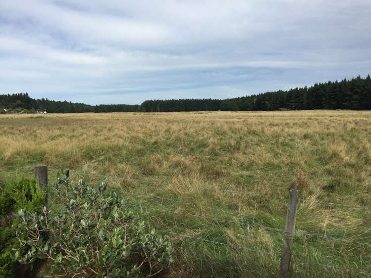 122 Kings Road Leithfield_16