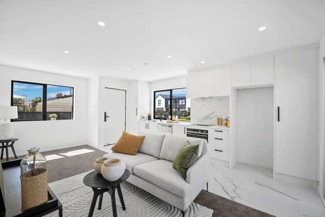 117A Edinburgh Street Spreydon_3