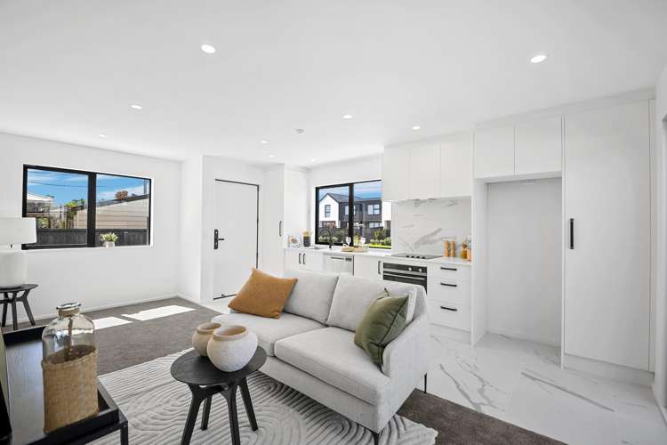 117A Edinburgh Street Spreydon_3