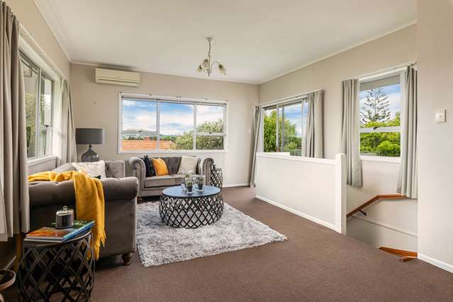 53 Kiwitea Street Sandringham_3