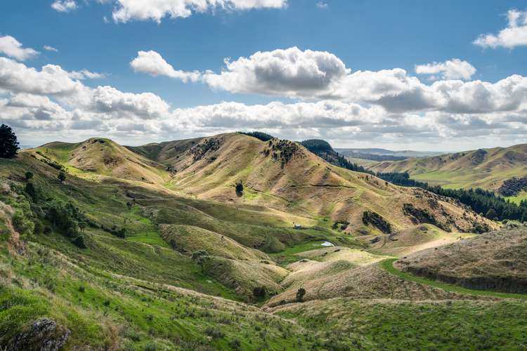 Mangleton Road Central Hawkes Bay Country_7