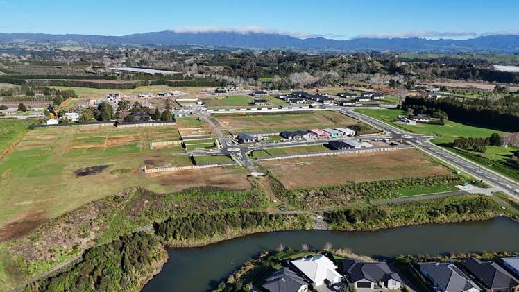 Riapeti Rise Puna Rua_10