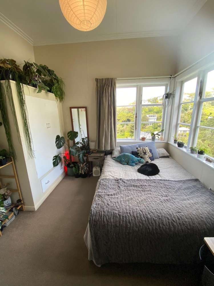 A/17 Plunket Street Kelburn_16