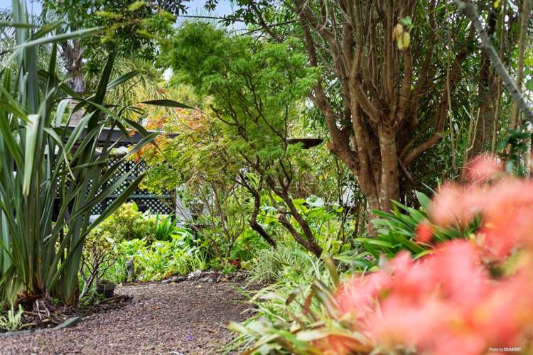 1/33 Cyclarama Crescent Massey_12