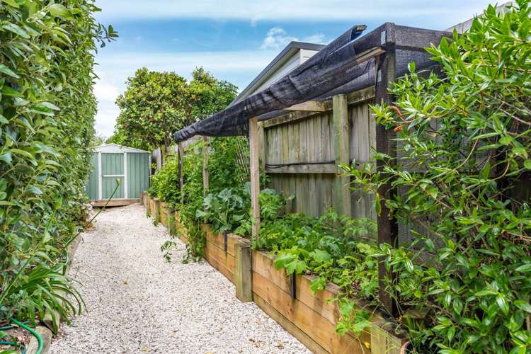 12 Seabreeze Road Mangawhai Heads_29