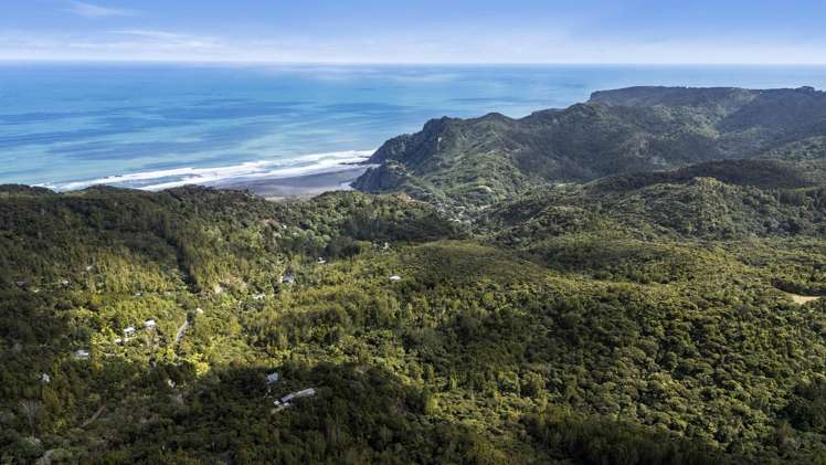 62 Lone Kauri Road_5