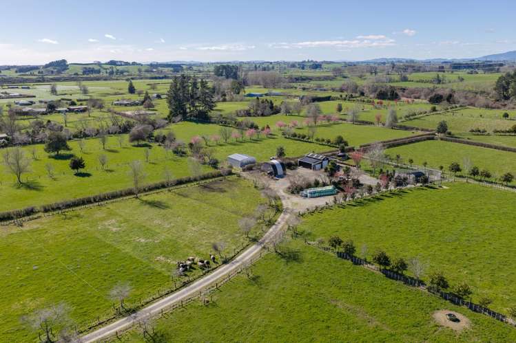 101 Ormsby Road Pirongia_3
