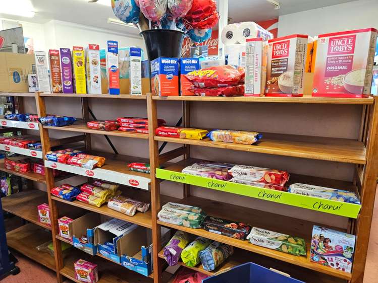 63 Williamson Avenue Grey Lynn_9