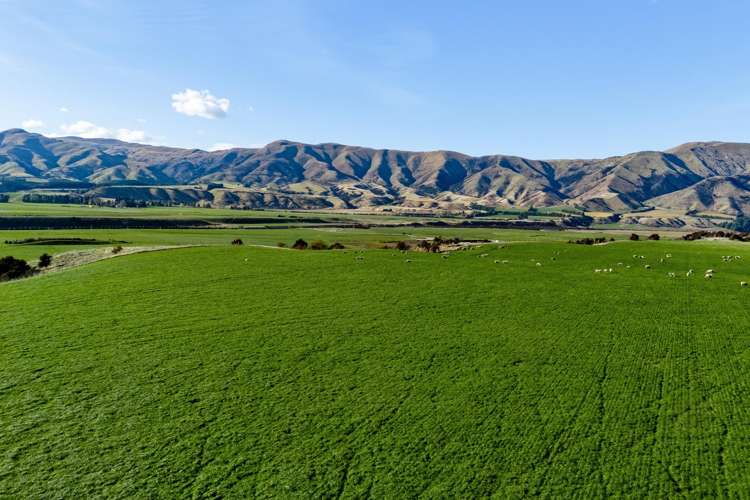 Lot 3, Northview Terraces Luggate_13