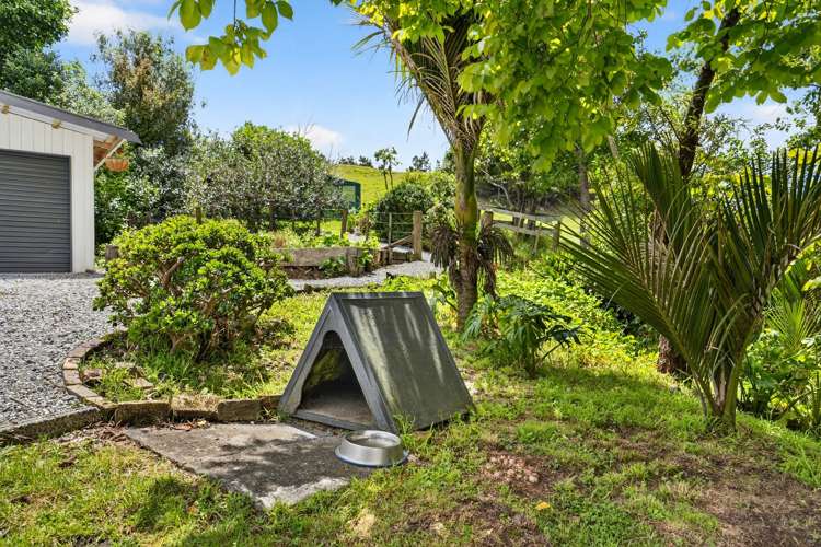 421 Wharehine Road Wellsford_34