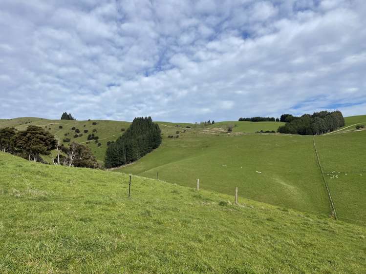 186 Murray Road Lawrence_5