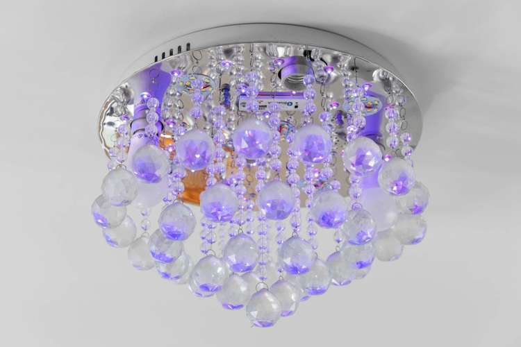 14a Ngatira Place Clendon Park_20