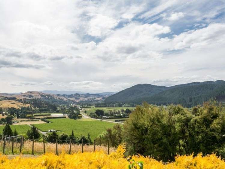 97 Kaimata Road Bay View_23