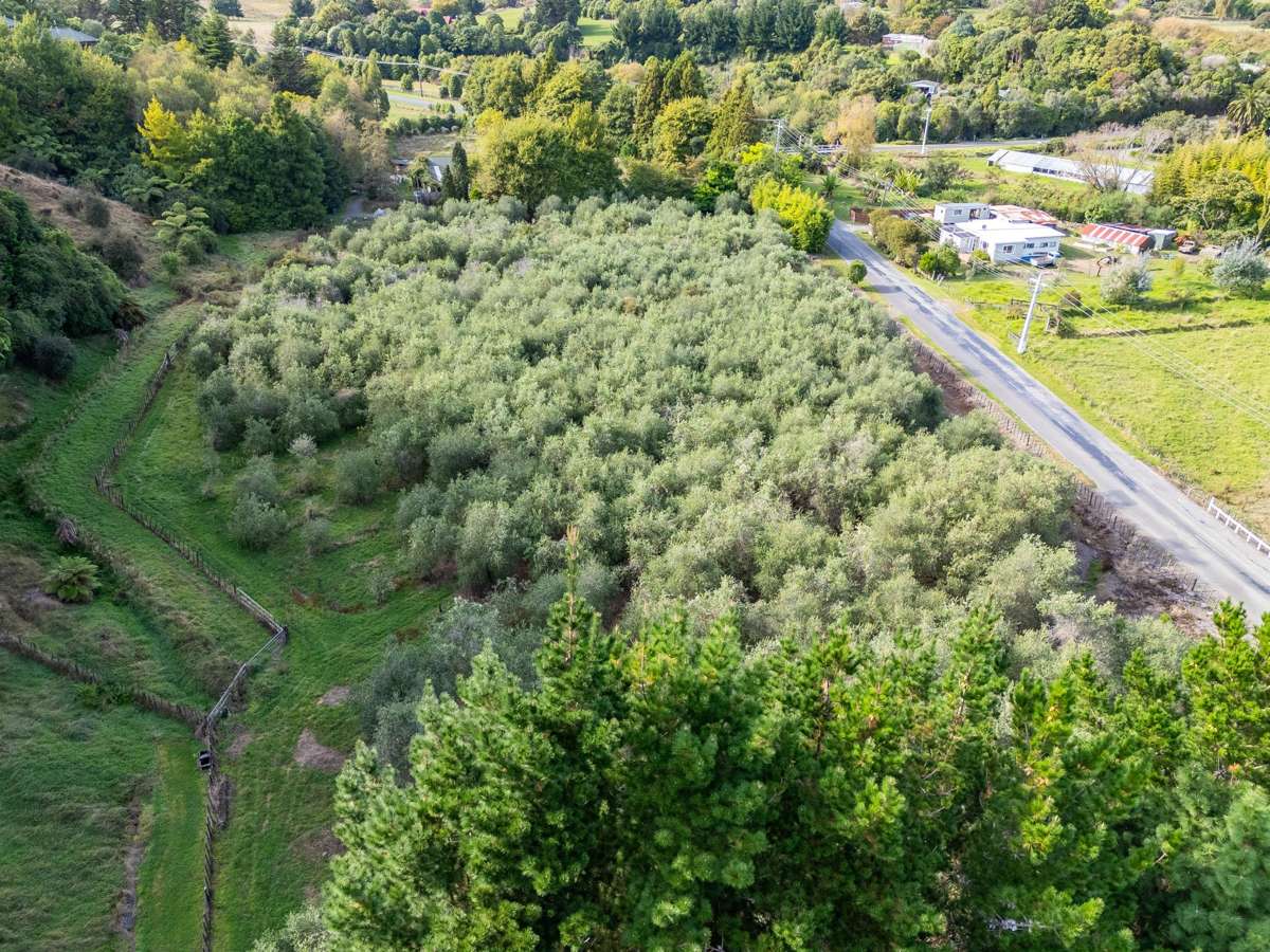 258 Waitohu Valley Road_1