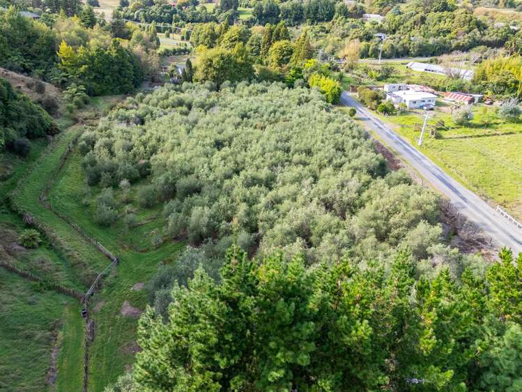 258 Waitohu Valley Road Otaki_5