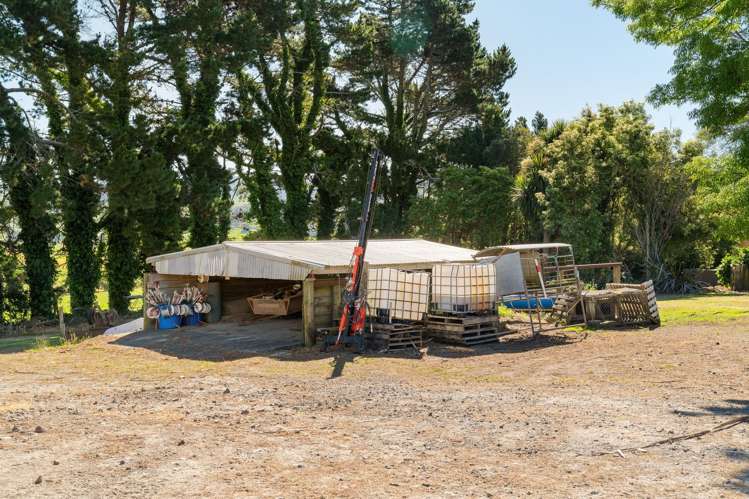 730 Waihi-Whangamata Road Waihi_15