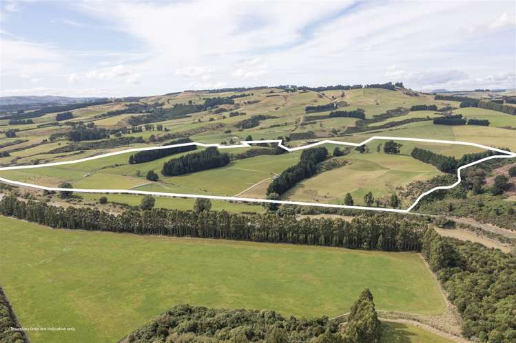 315 Wyndham Road Gore Surrounds_39