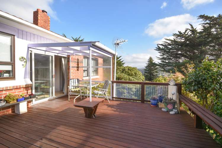 2 Trafalgar Street Normanby_4