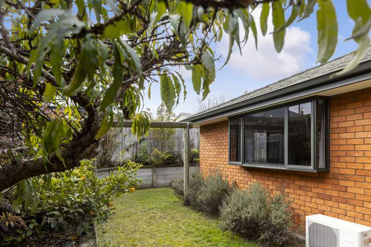 65A Kowhai Drive Renwick_13