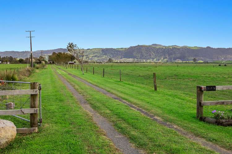 238b Hallett Road Otakiri_25