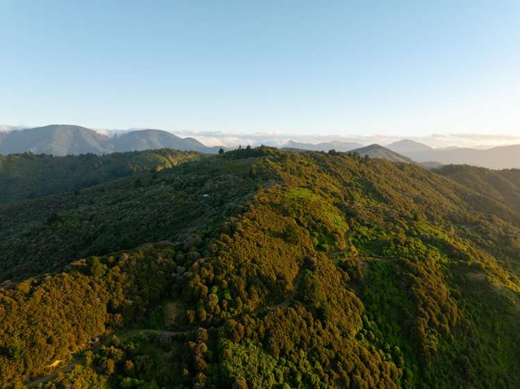 185 Kanuka Rise Wakapuaka_39