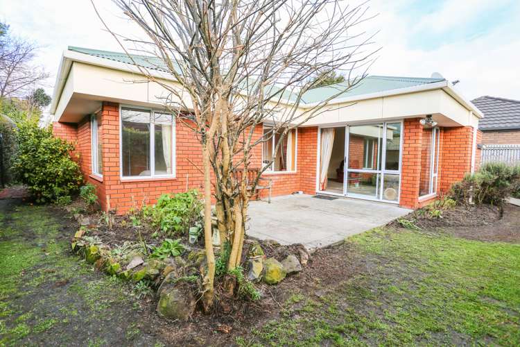 2/127 Cobham Street Spreydon_17