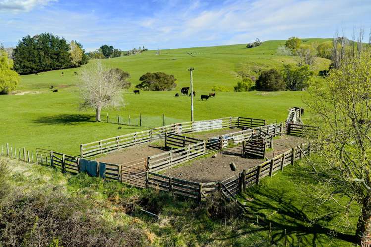 468 Waikoau Road Tutira_4
