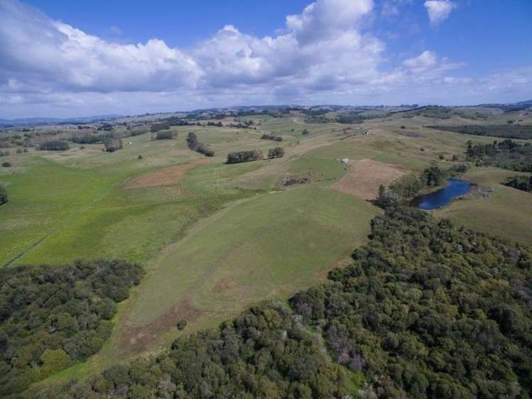 137 Sanson Road Ruawaro_13