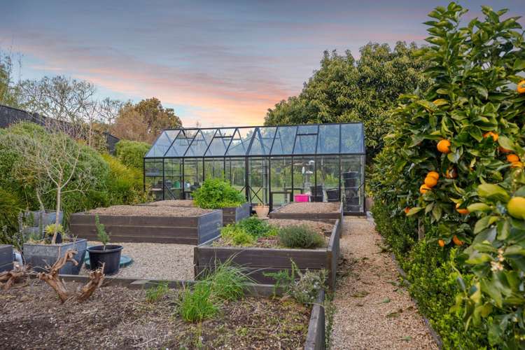 70A Francis Road Whakamarama_21