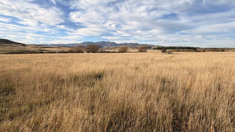 Wedderburn-Becks Road Wedderburn_12