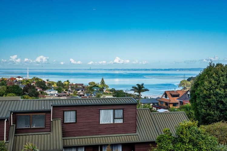 60 Francis Curtis Avenue Blockhouse Bay_12