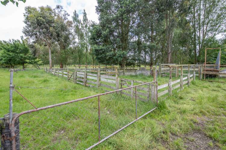 5 Fawcetts Road Ashley_18