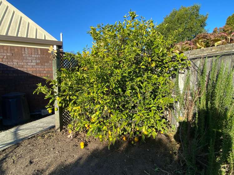 64 Lancewood Drive Halswell_10