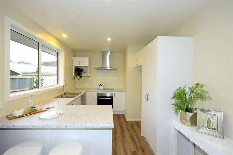 16 Montague Street Islington_5