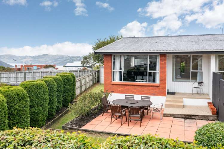 6B Hereford Street Roslyn_18