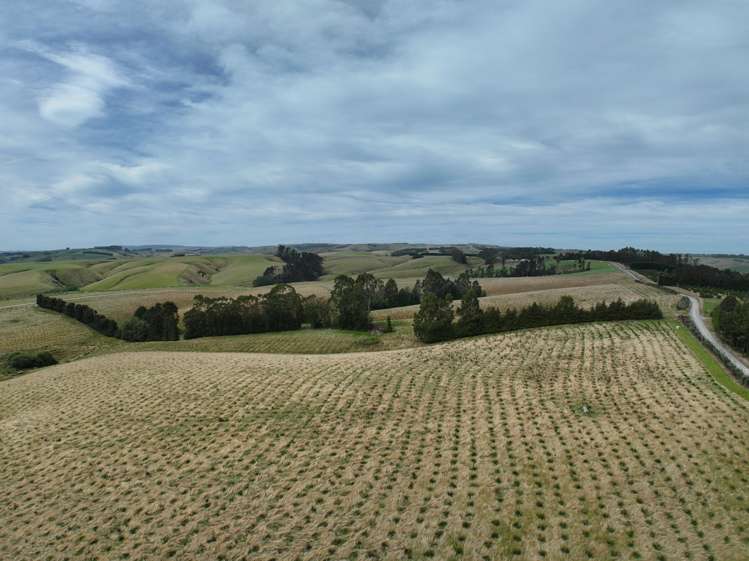 174 McCulloch Road Awamangu_38