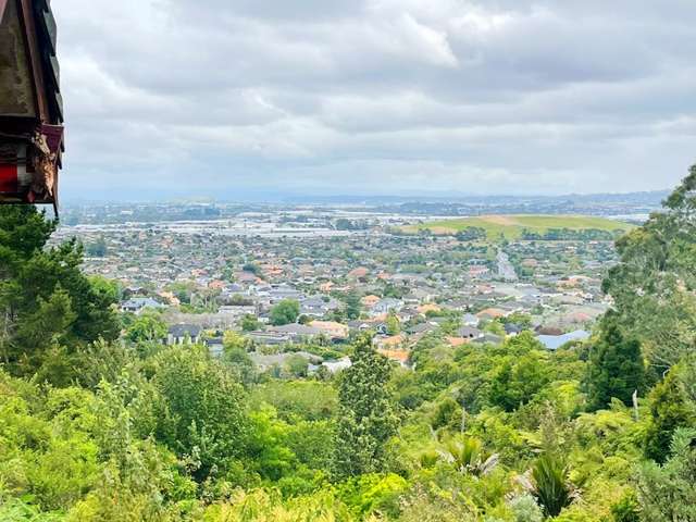 112 Point View Drive East Tamaki Heights_3