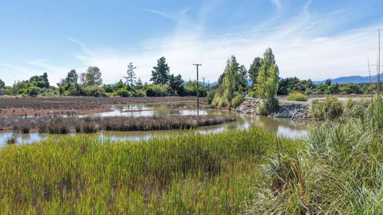 31 Toru Street Mapua_28