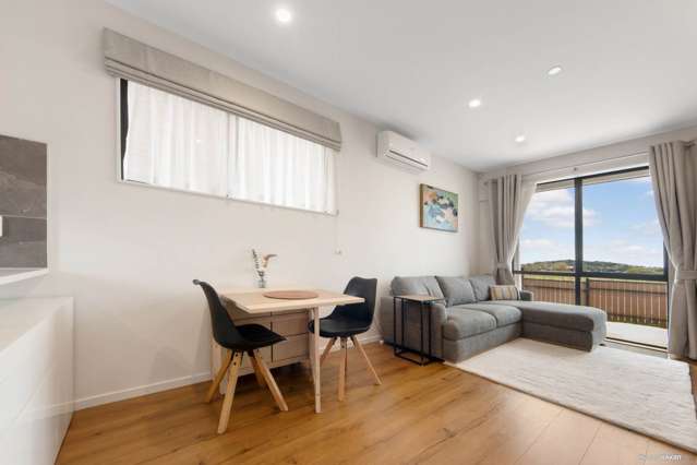 37b Murphys Park Drive Flat Bush_4