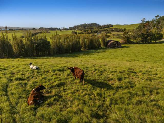 2640 South Head Road South Head_3