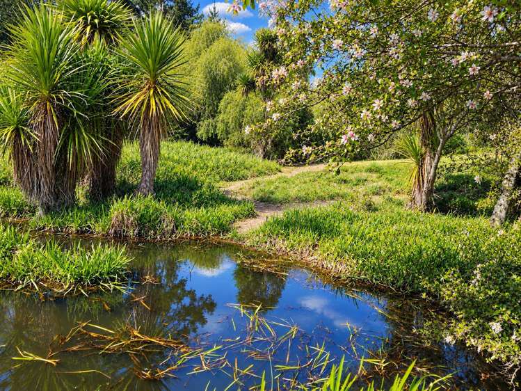 57 Snowden Street Ohauiti_4