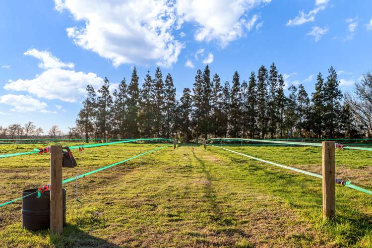 45 Paetai Road Ohinewai_2