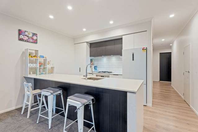 6 Shortfin Place Flat Bush_1