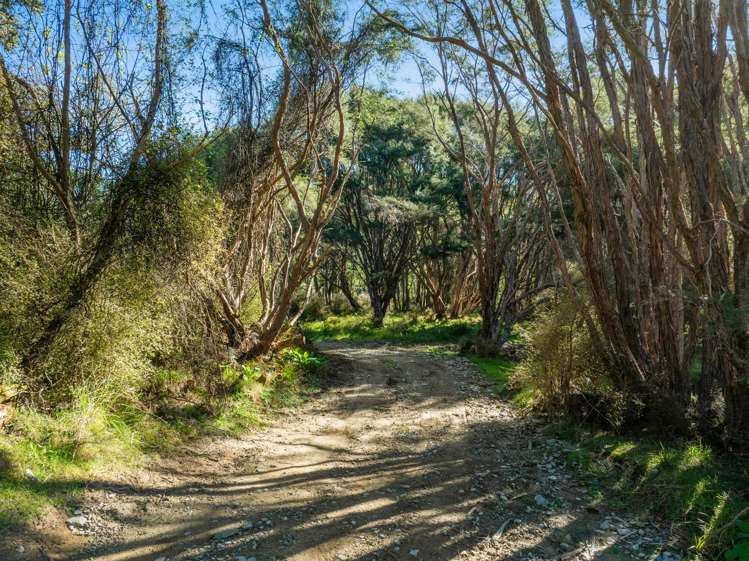 Lots 3 4 5 Nydia Bay Marlborough Sounds_51