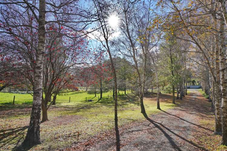 54 Mcqueens Road Cheviot_19