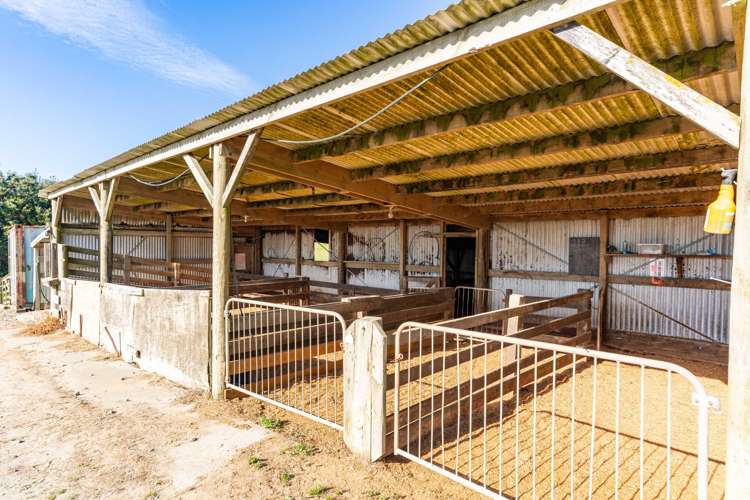 559 Mahuta Road Dargaville_4