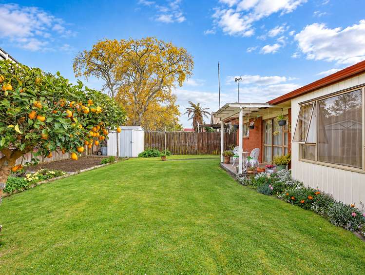 19 Winstone Avenue Chartwell_8