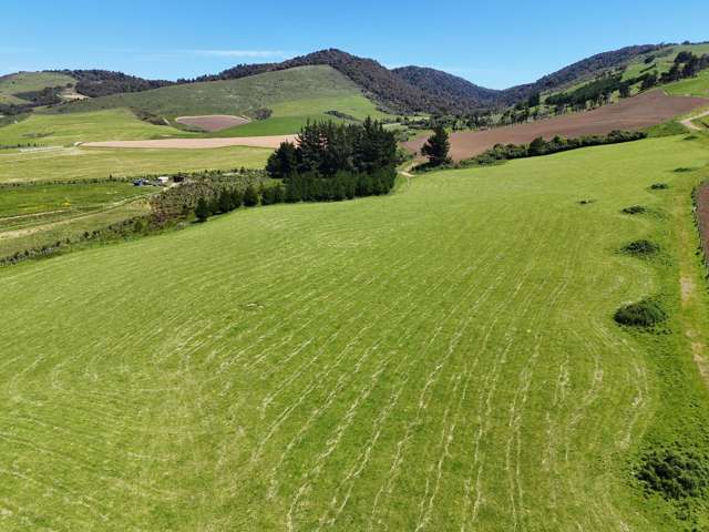 124 Niagara Waikawa Road Niagara_3